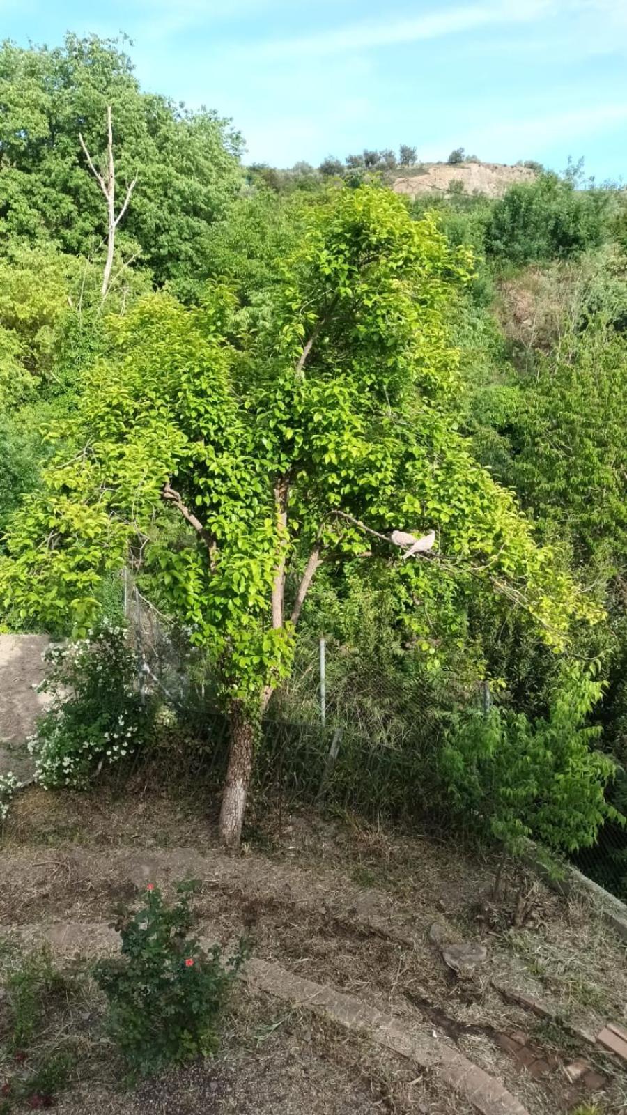 Casa Benzambra Cadiar